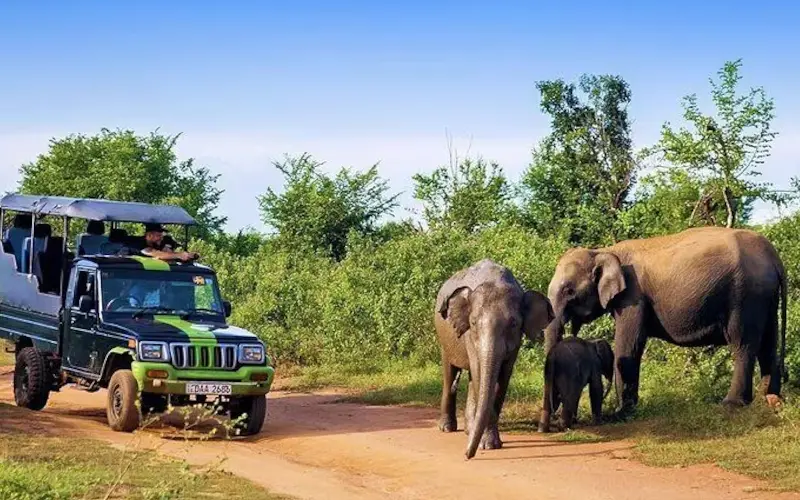 Udawalawe National Park