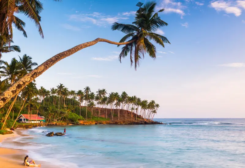 Ella to the Tropical Southern Beaches (Mirissa)